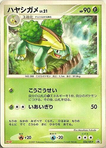 Grotle Lv.21 Card Front