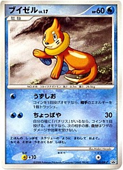 Buizel Lv.17