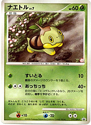 Turtwig Lv.7