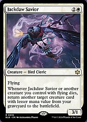 Jackdaw Savior