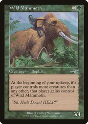 Wild Mammoth