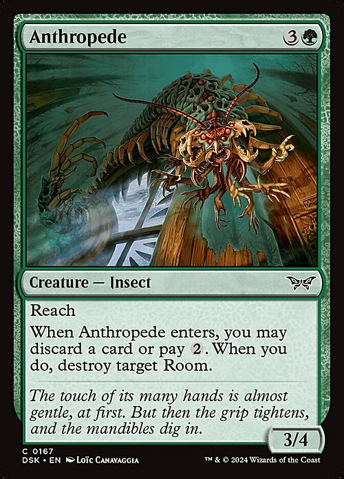 Anthropede Card Front