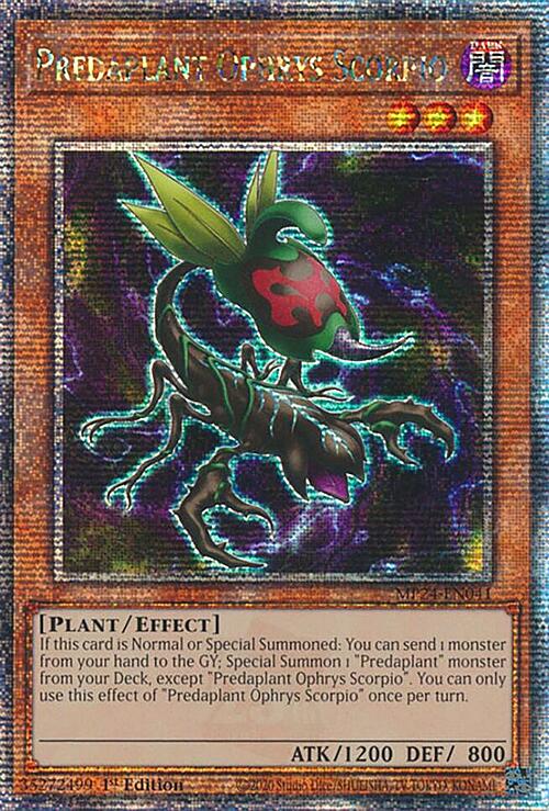 Predaplant Ophrys Scorpio Card Front