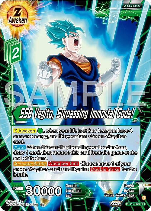 SSB Vegito, Surpassing Immortal Gods! Card Front