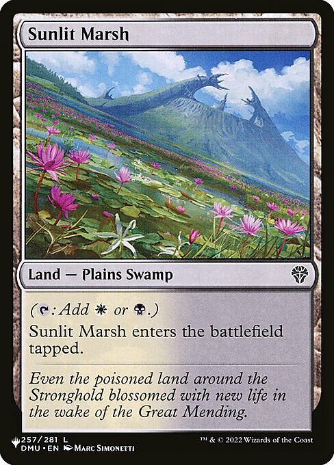 Sunlit Marsh Card Front