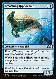 Breaching Hippocamp