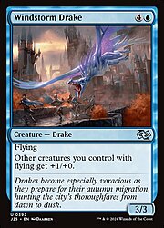 Windstorm Drake