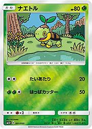 Turtwig