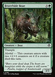 Festerhide Boar