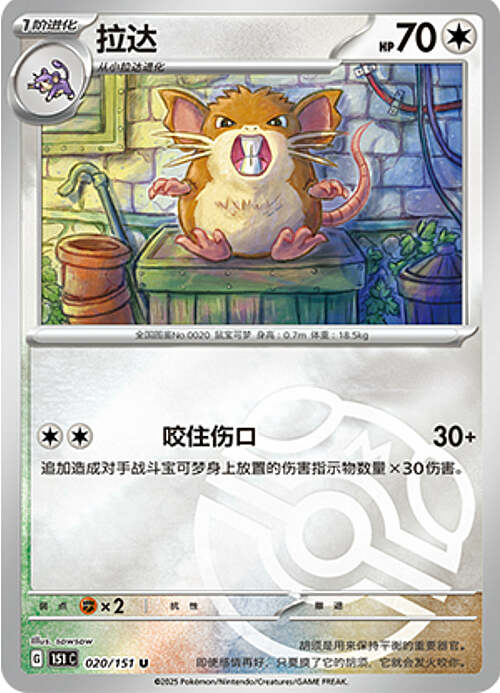 Raticate Card Front