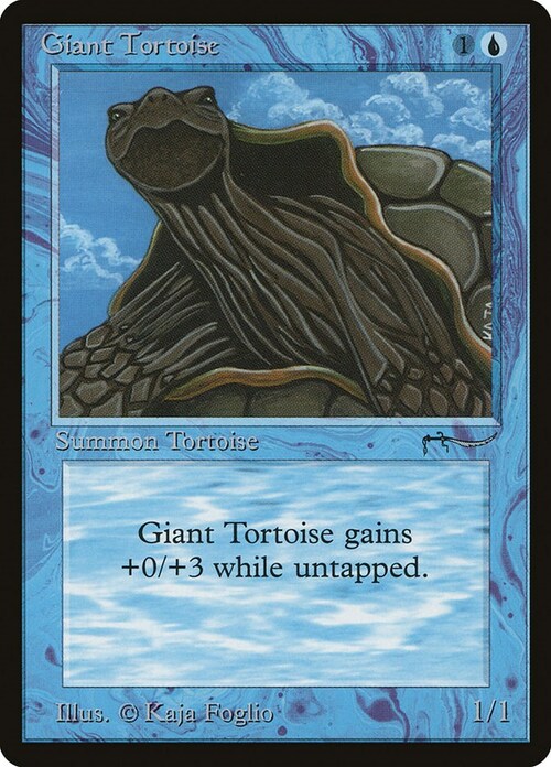 Giant Tortoise Card Front