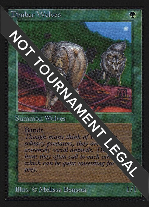 Timber Wolves Card Front