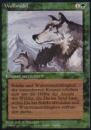 Aspect of Wolf