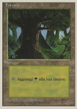 Forest Card Front