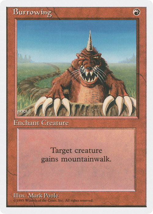 Burrowing Card Front