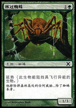 Canopy Spider Card Front