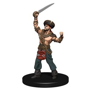 Pirate Token Figure