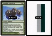 Troupeau d'aurochs/Black Border Stripes Filler Card