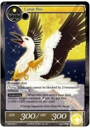 Lunar Ibis