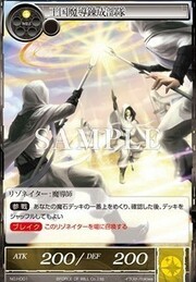 Kingdom Alchemist Wizards Force