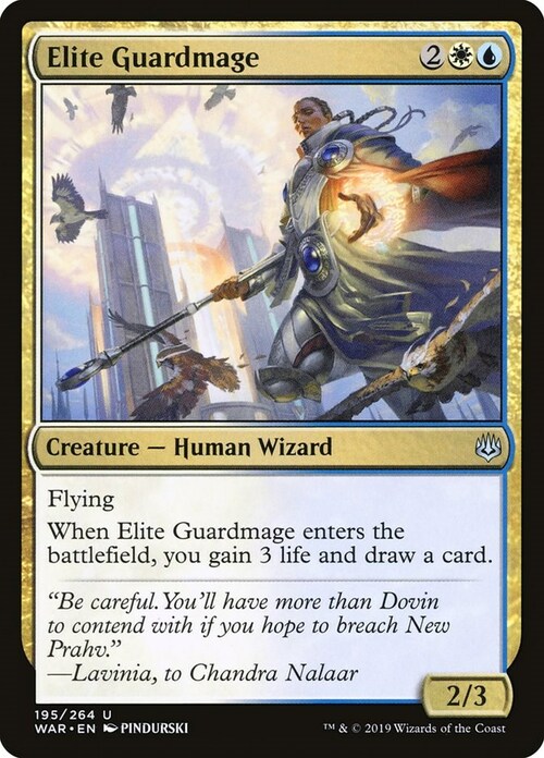 Elite Guardmage Card Front