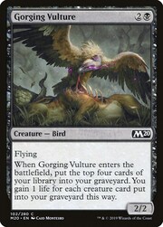 Gorging Vulture