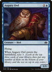 Augury Owl