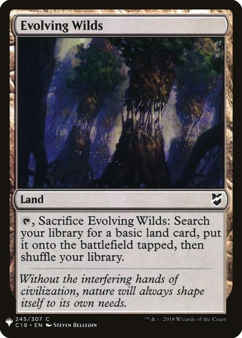 Evolving Wilds Card Front