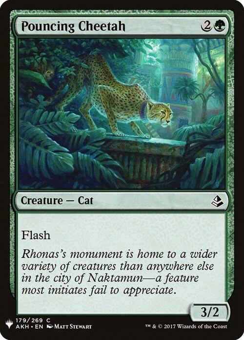 Pouncing Cheetah Card Front