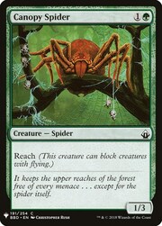 Canopy Spider