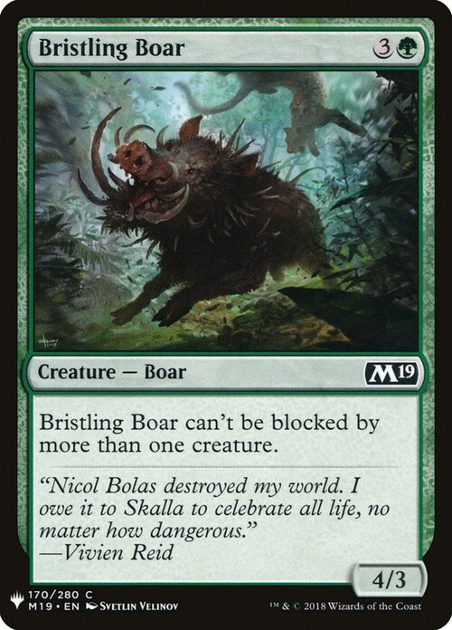 Bristling Boar Card Front