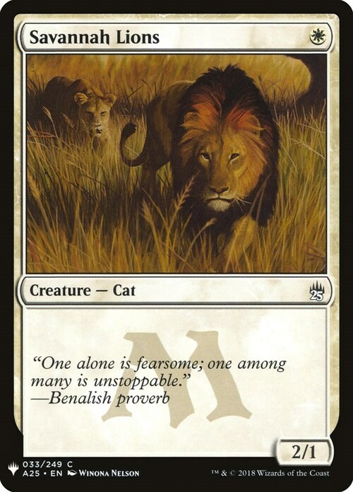 Savannah Lions Card Front