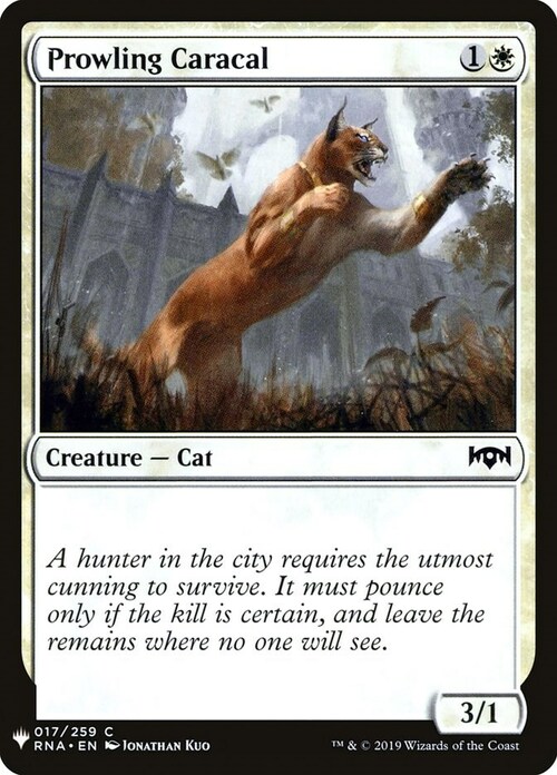 Prowling Caracal Card Front