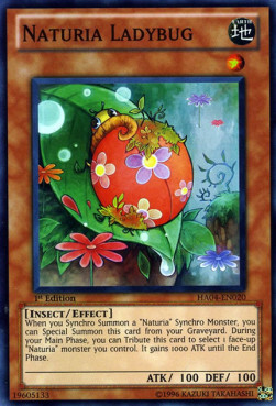 Naturia Ladybug Card Front