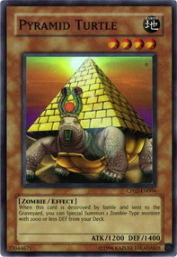 Pyramid Turtle Card Front