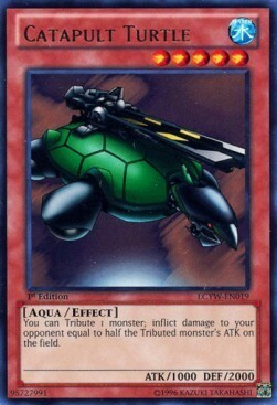 Catapult Turtle Card Front