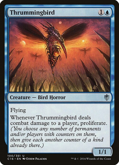 Thrummingbird Card Front