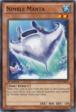 Nimble Manta Card Front