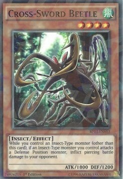 Cross-Sword Beetle Card Front