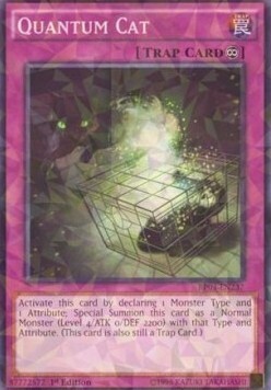 Quantum Cat Card Front