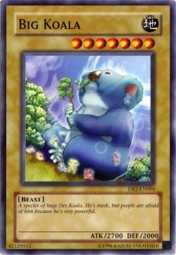 Big Koala Card Front