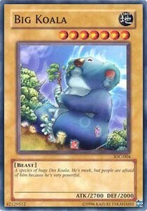 Big Koala Card Front