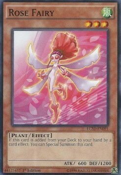 Rose Fairy Card Front