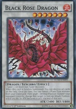 Black Rose Dragon Card Front