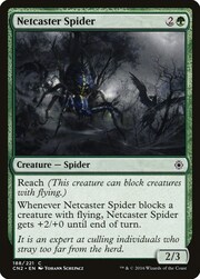 Netcaster Spider