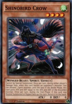 Shinobird Crow Card Front