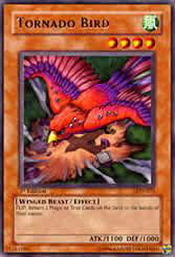 Tornado Bird Card Front