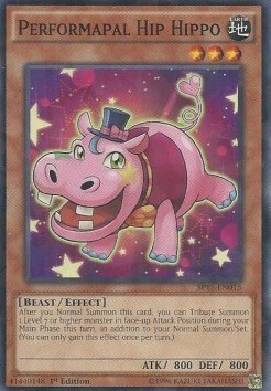 Performapal Hip Hippo Card Front