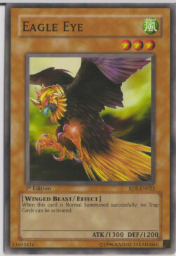 Eagle Eye Card Front