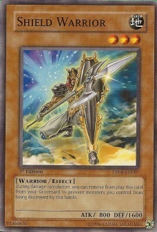 Shield Warrior Card Front